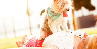 BOM PRA CACHORRO: saiba os cuidados que voc deve ter com o seu  amiguinho!