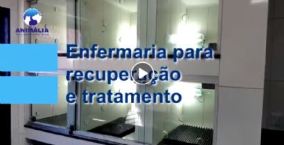 ​ENFERMARIA PARA RECUPERAO E TRATAMENTO